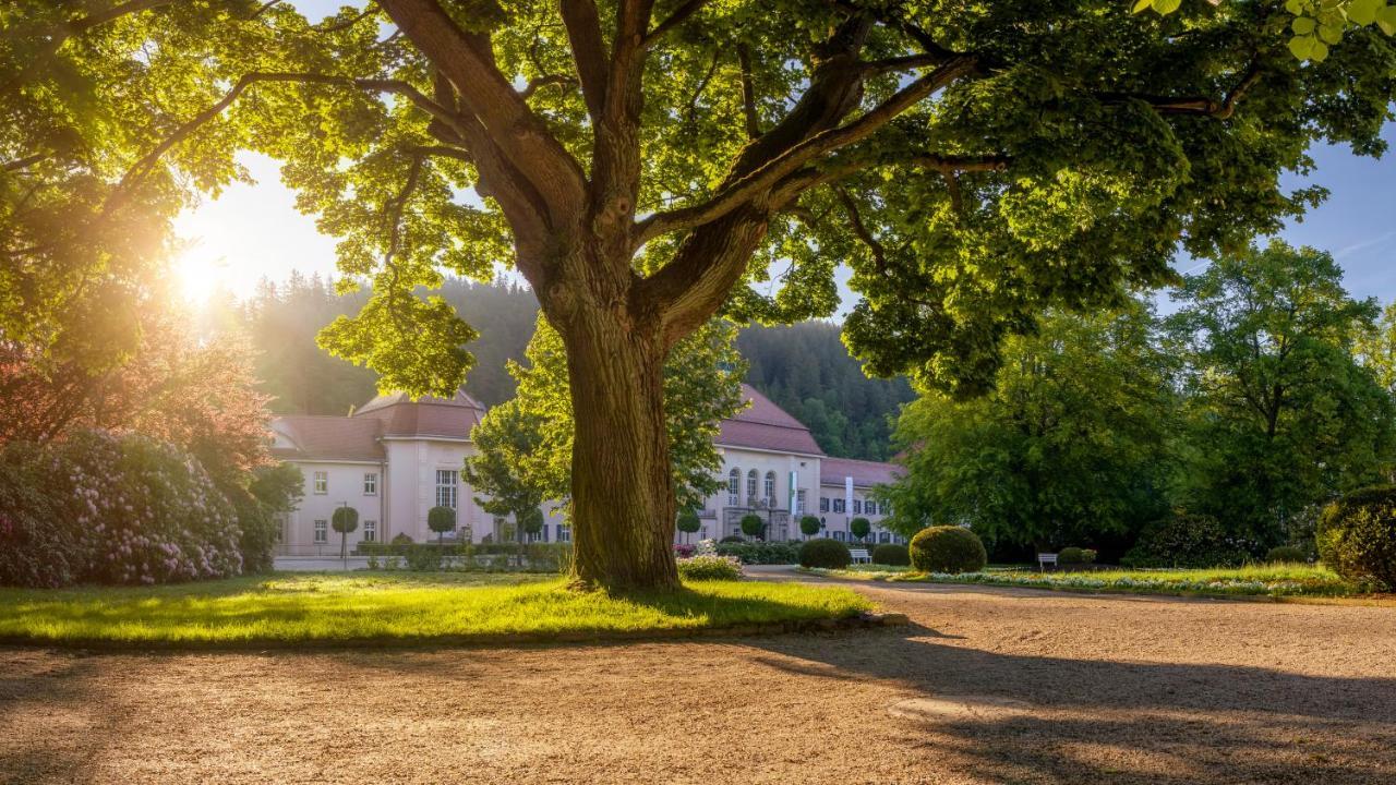 Hotel - Pension Vesta Бад-Эльстер Экстерьер фото